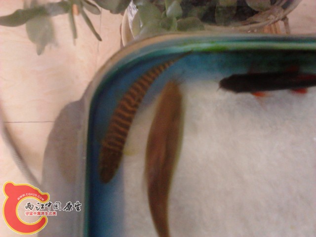 P290412_14.18_[02].jpg