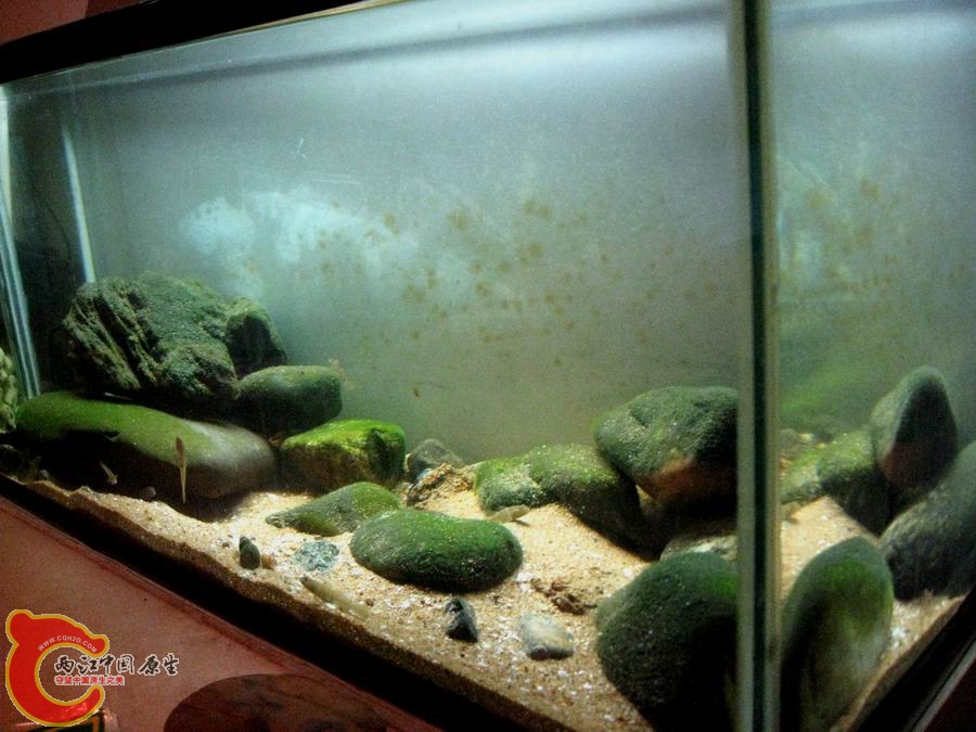 照片 174.jpg