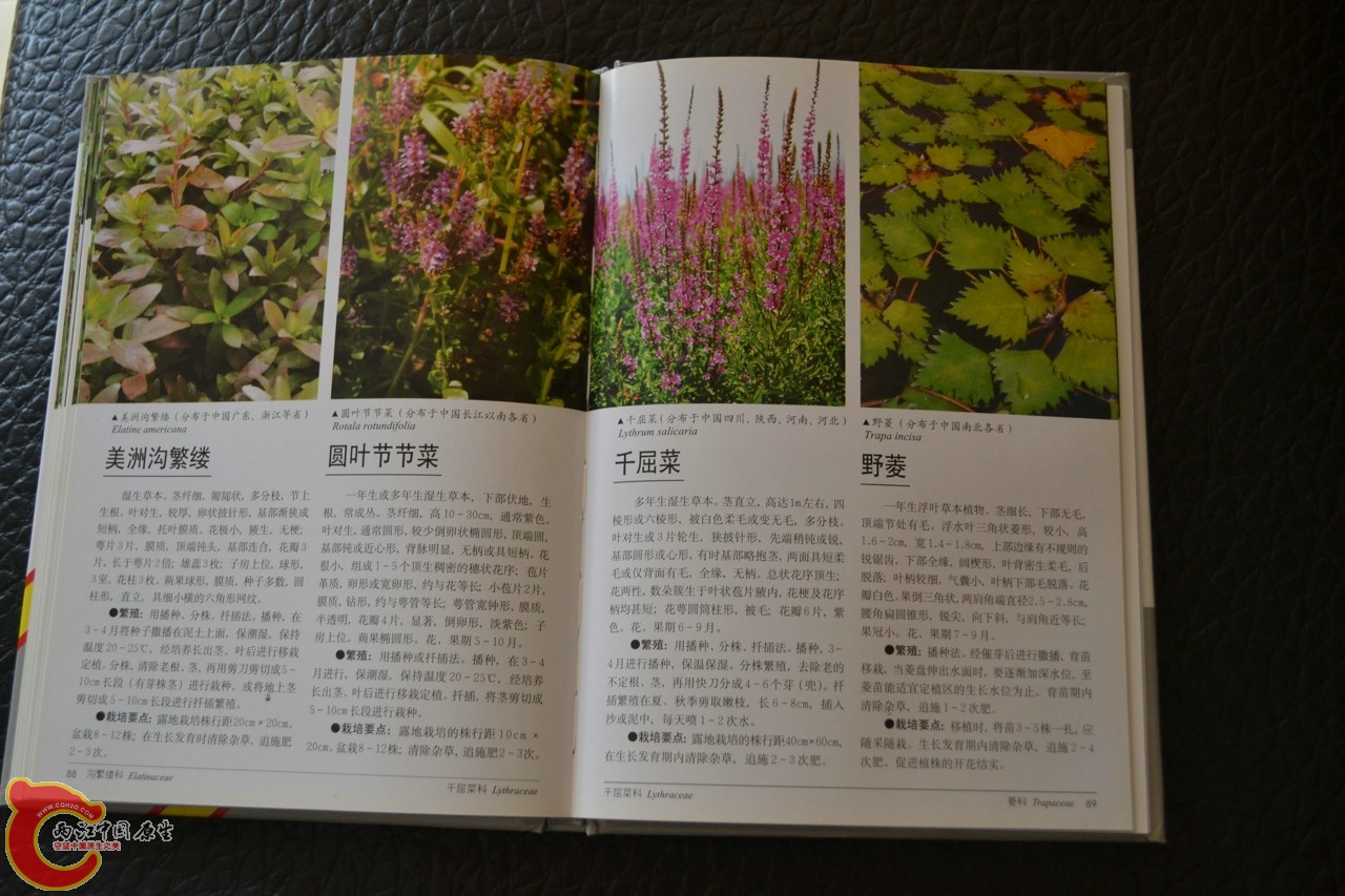 201105142160.jpg
