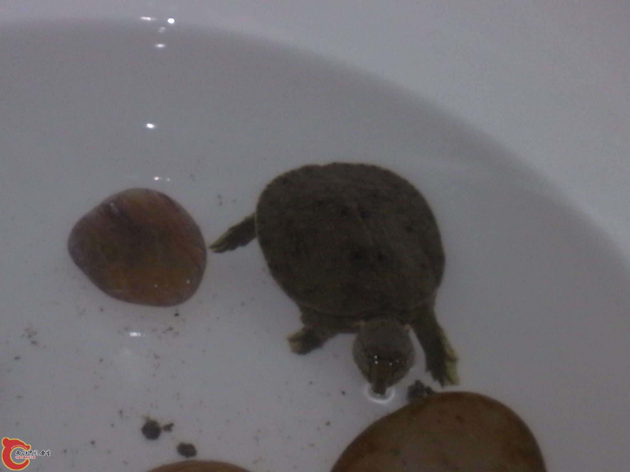 20120504824.jpg
