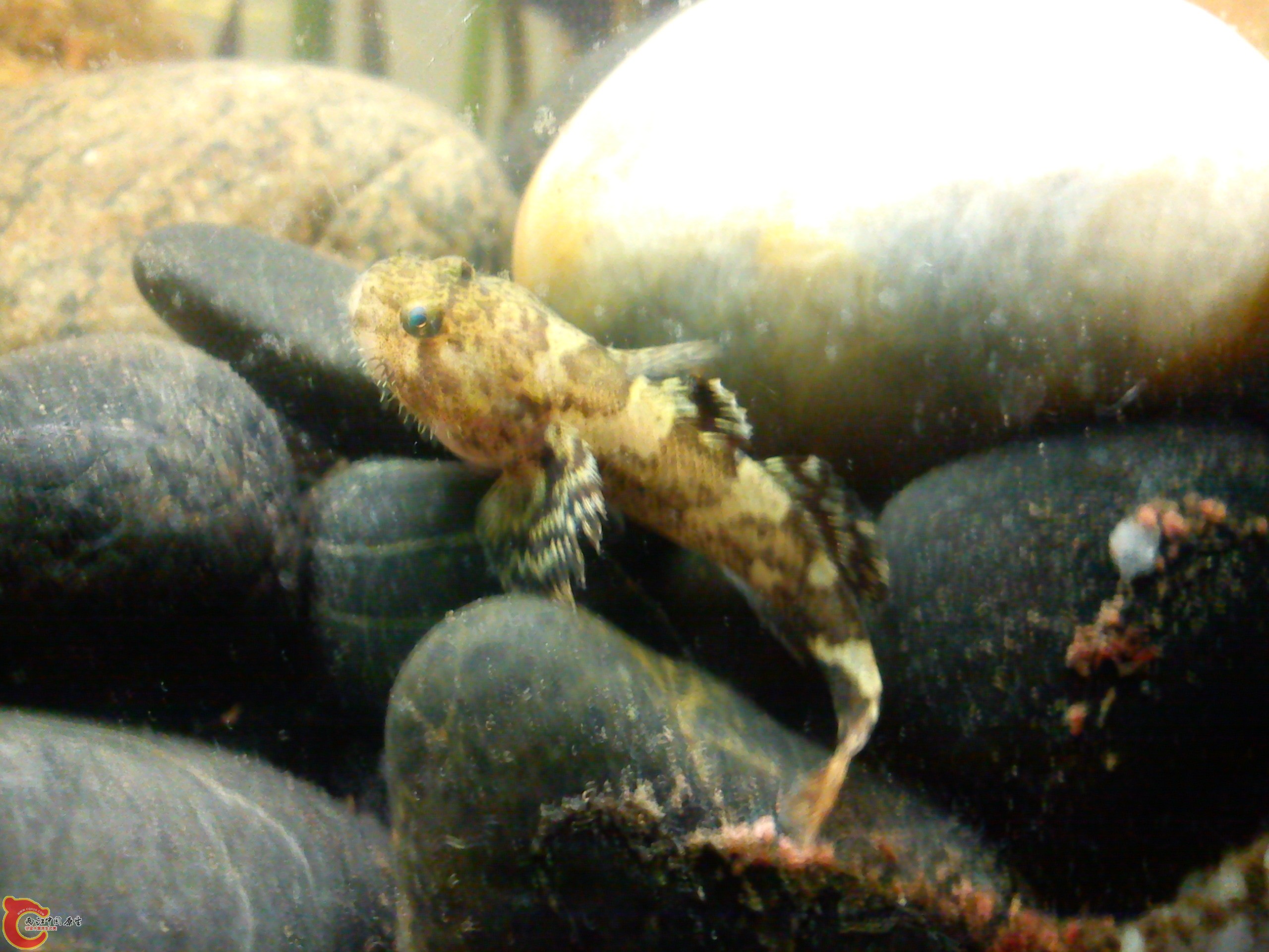 Camera_20120505_235840.jpg