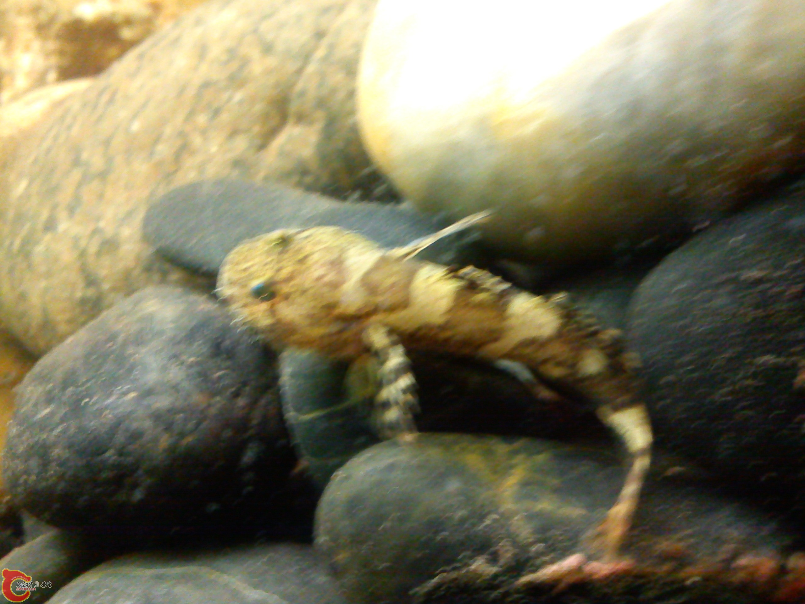 Camera_20120505_235909.jpg