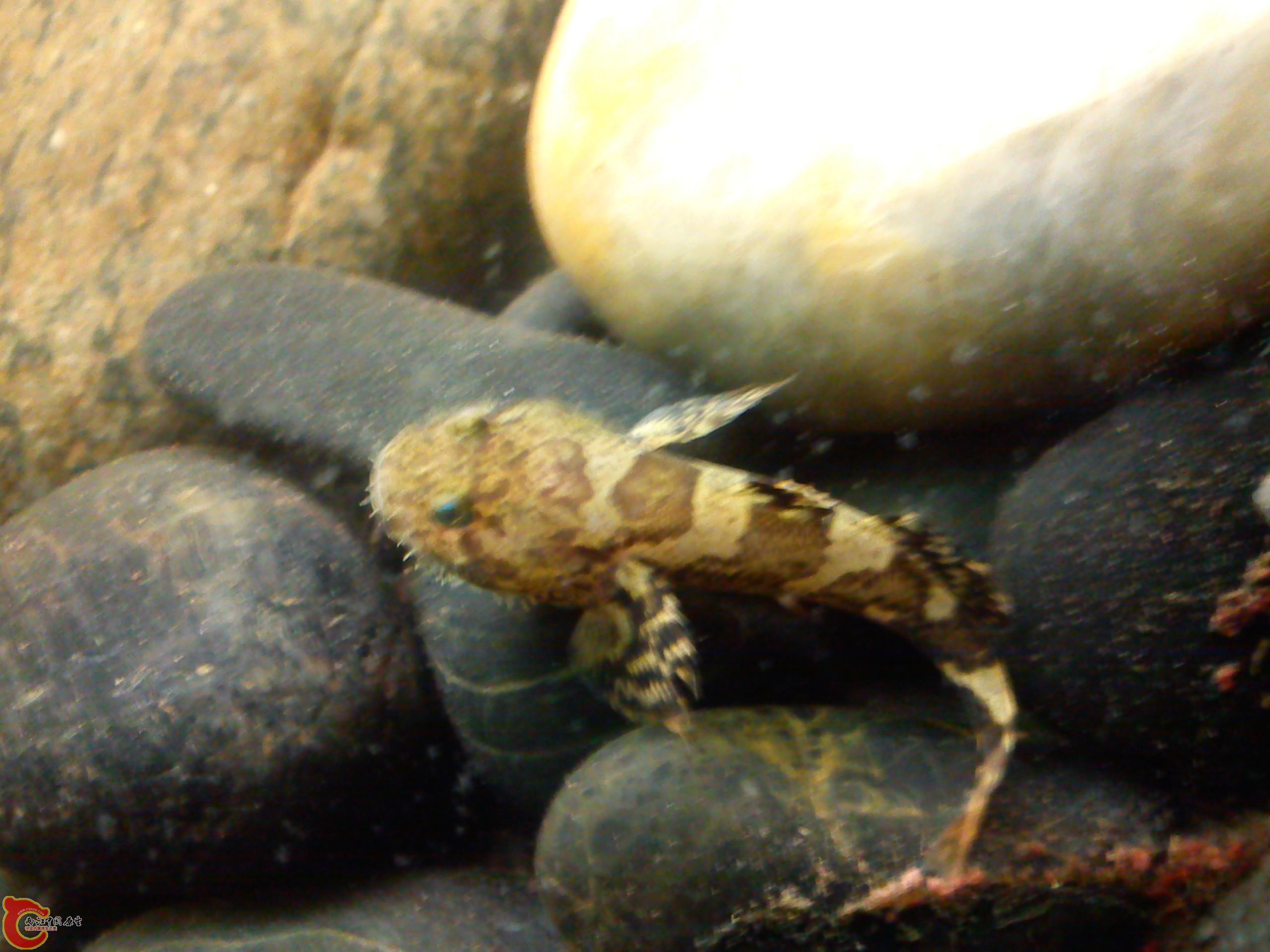 Camera_20120505_235920.jpg