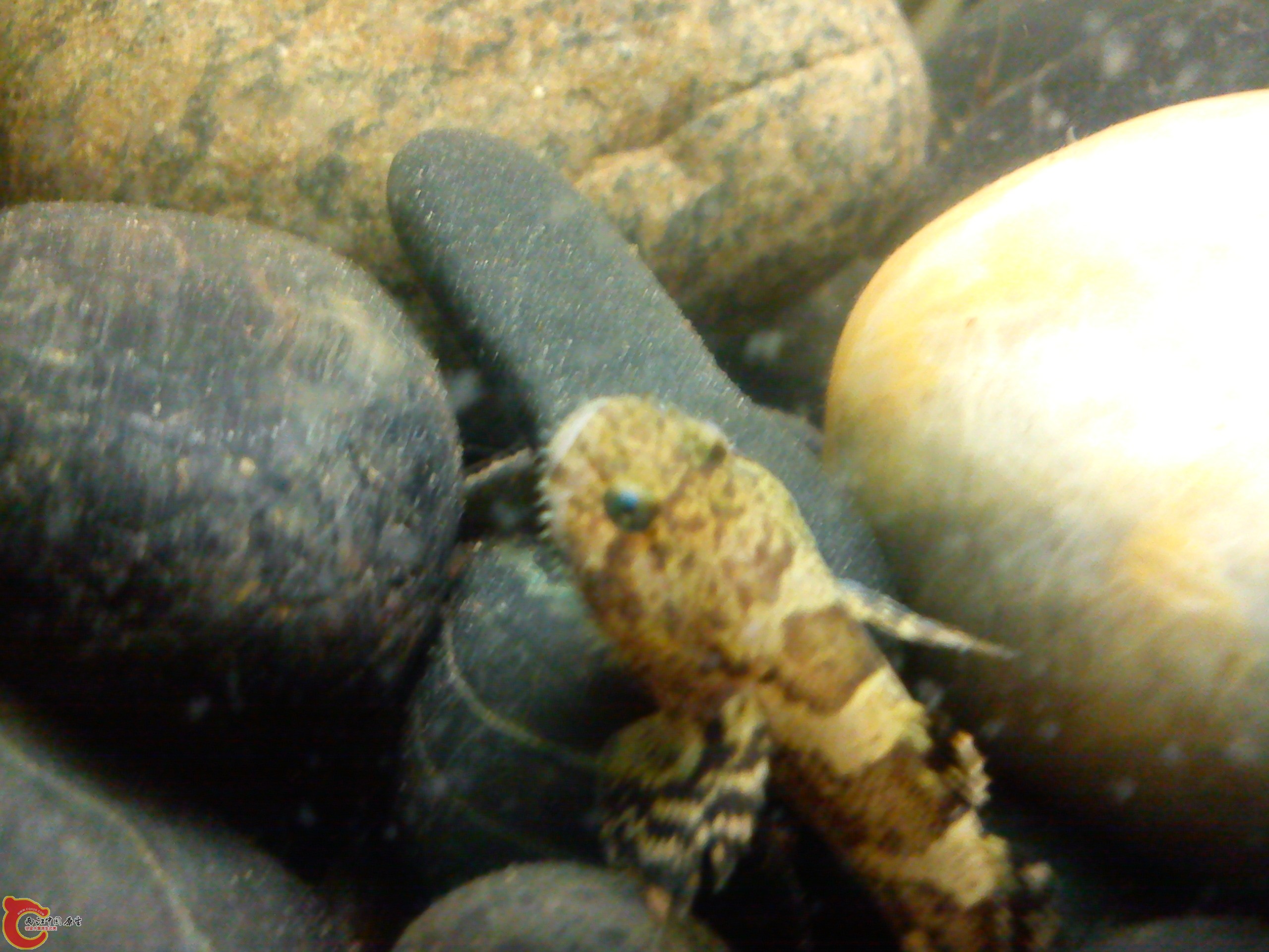 Camera_20120505_235937.jpg