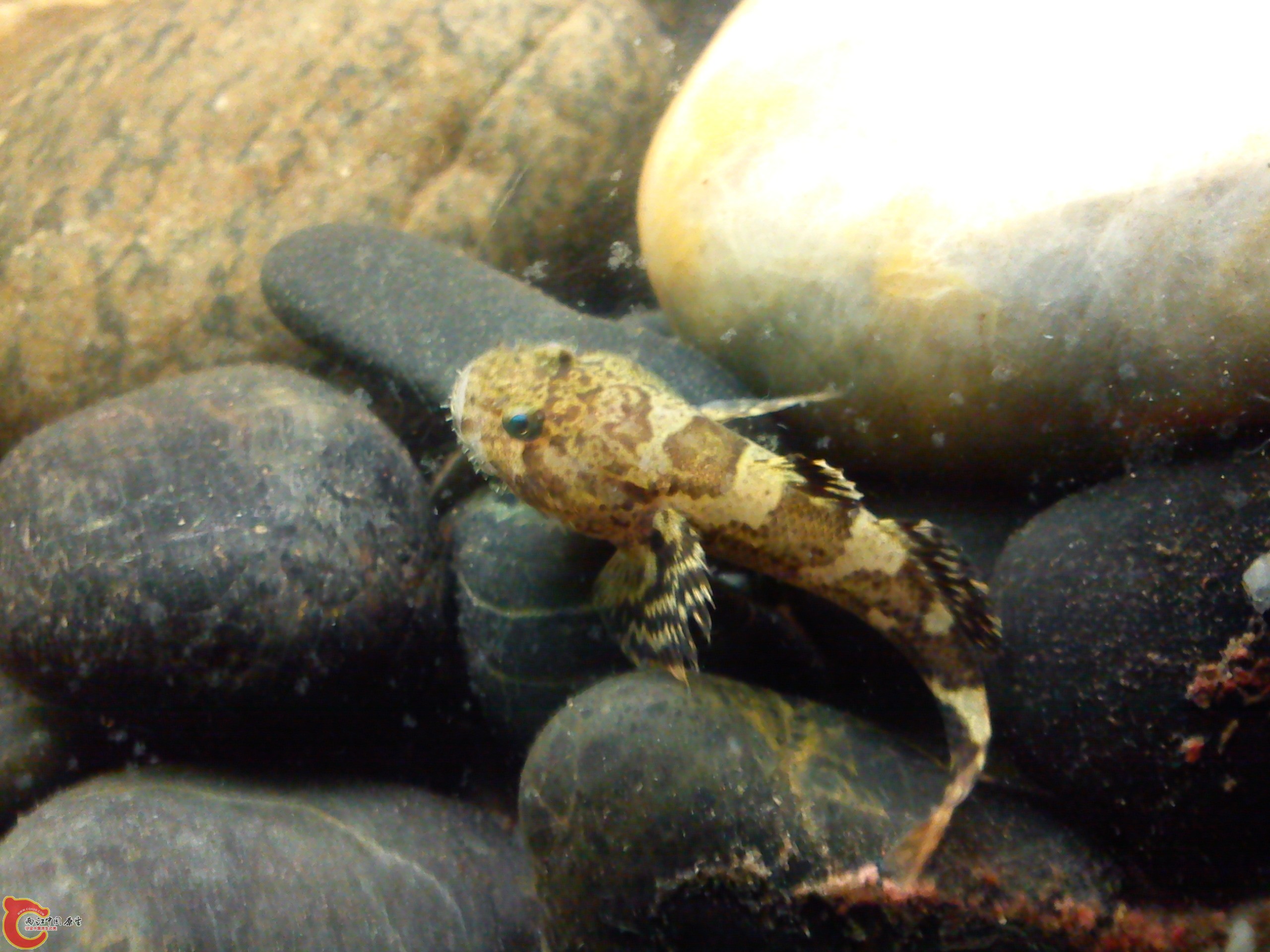 Camera_20120505_235949.jpg