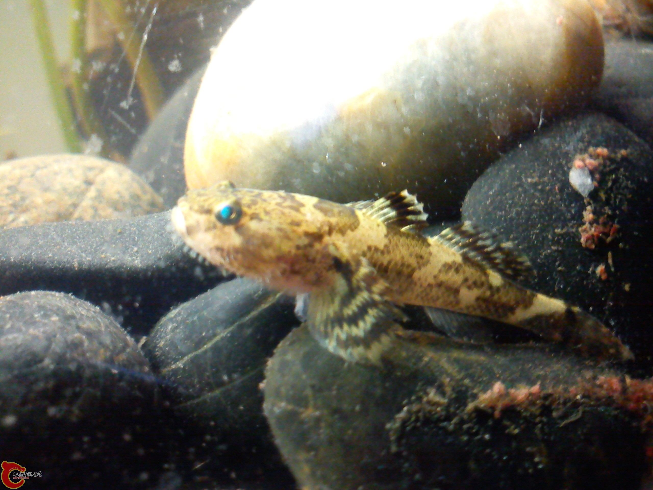 Camera_20120506_000116.jpg