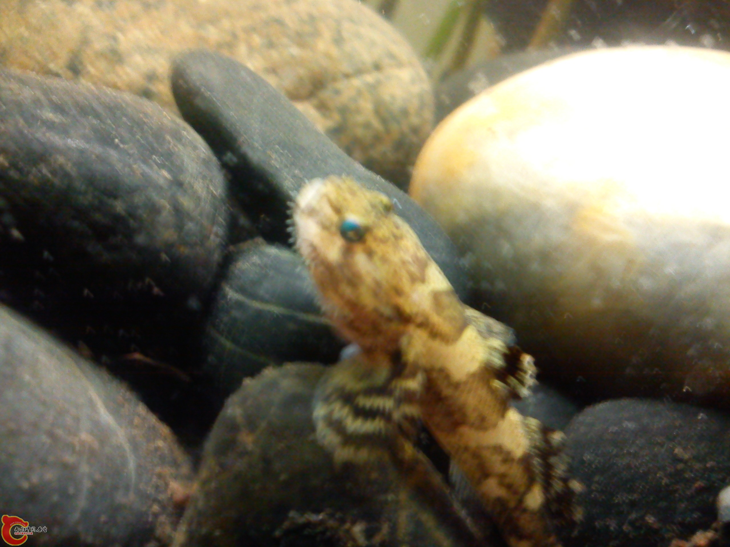 Camera_20120506_000129.jpg