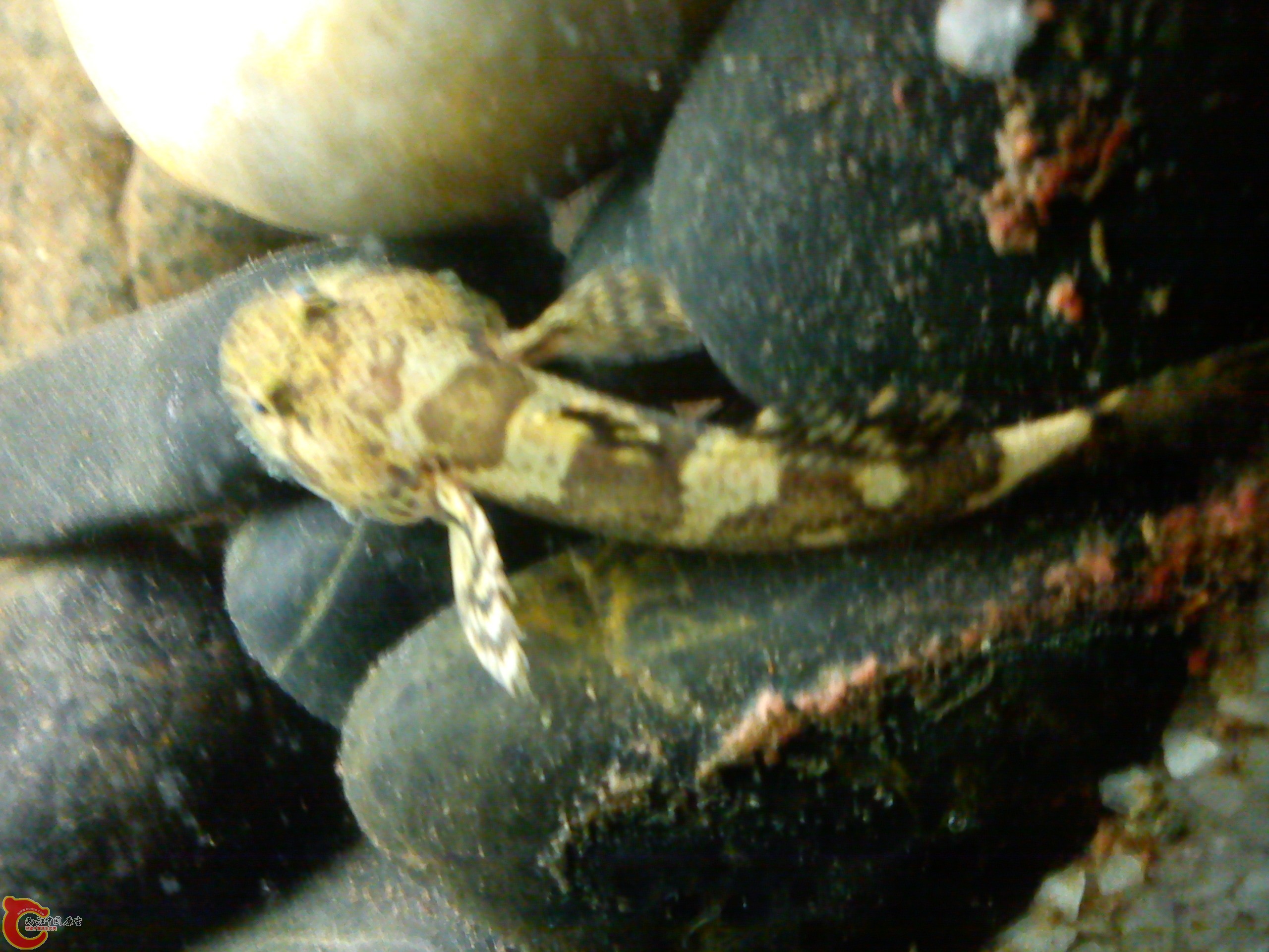 Camera_20120506_000805.jpg