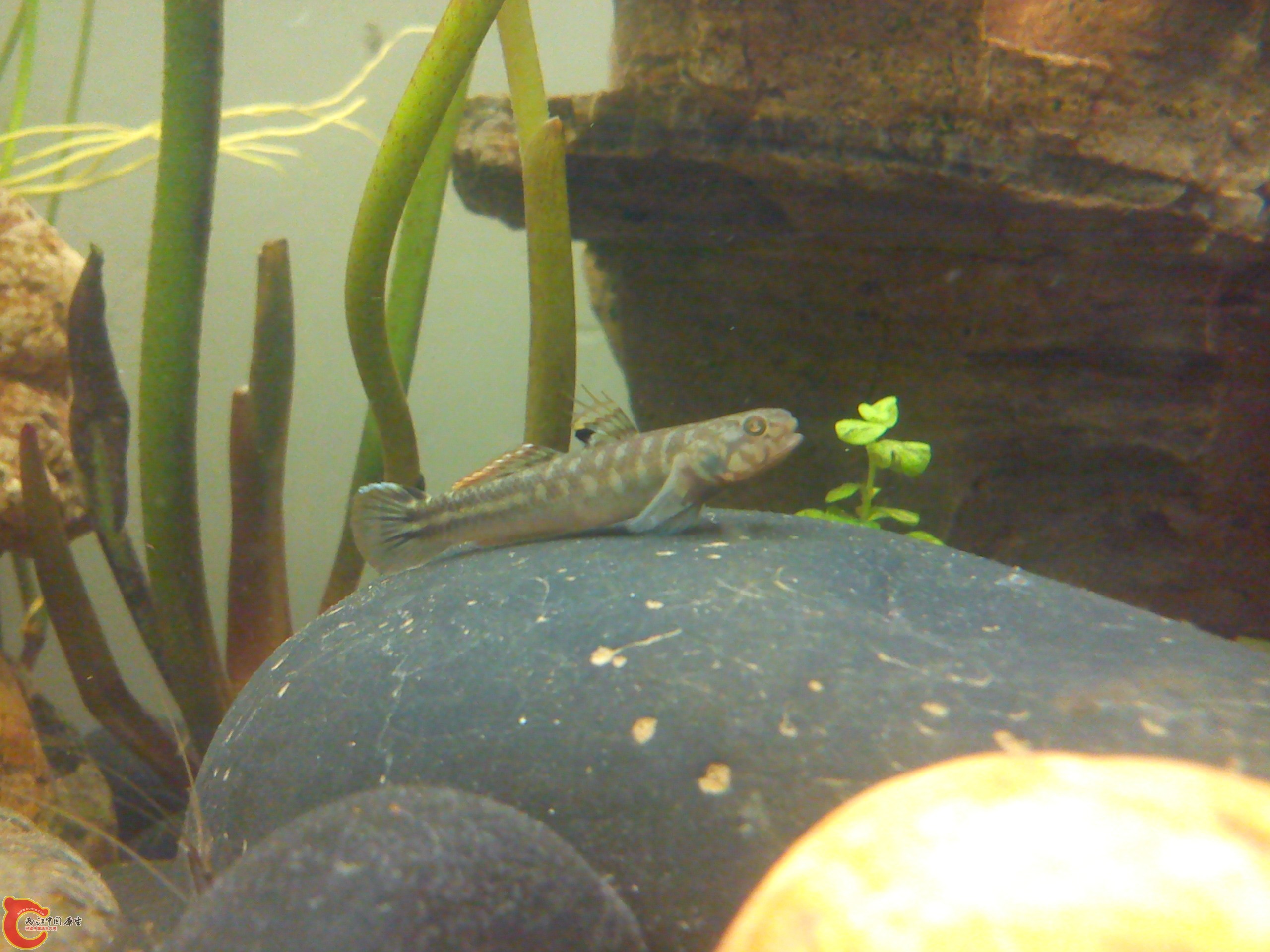 Camera_20120506_000901.jpg