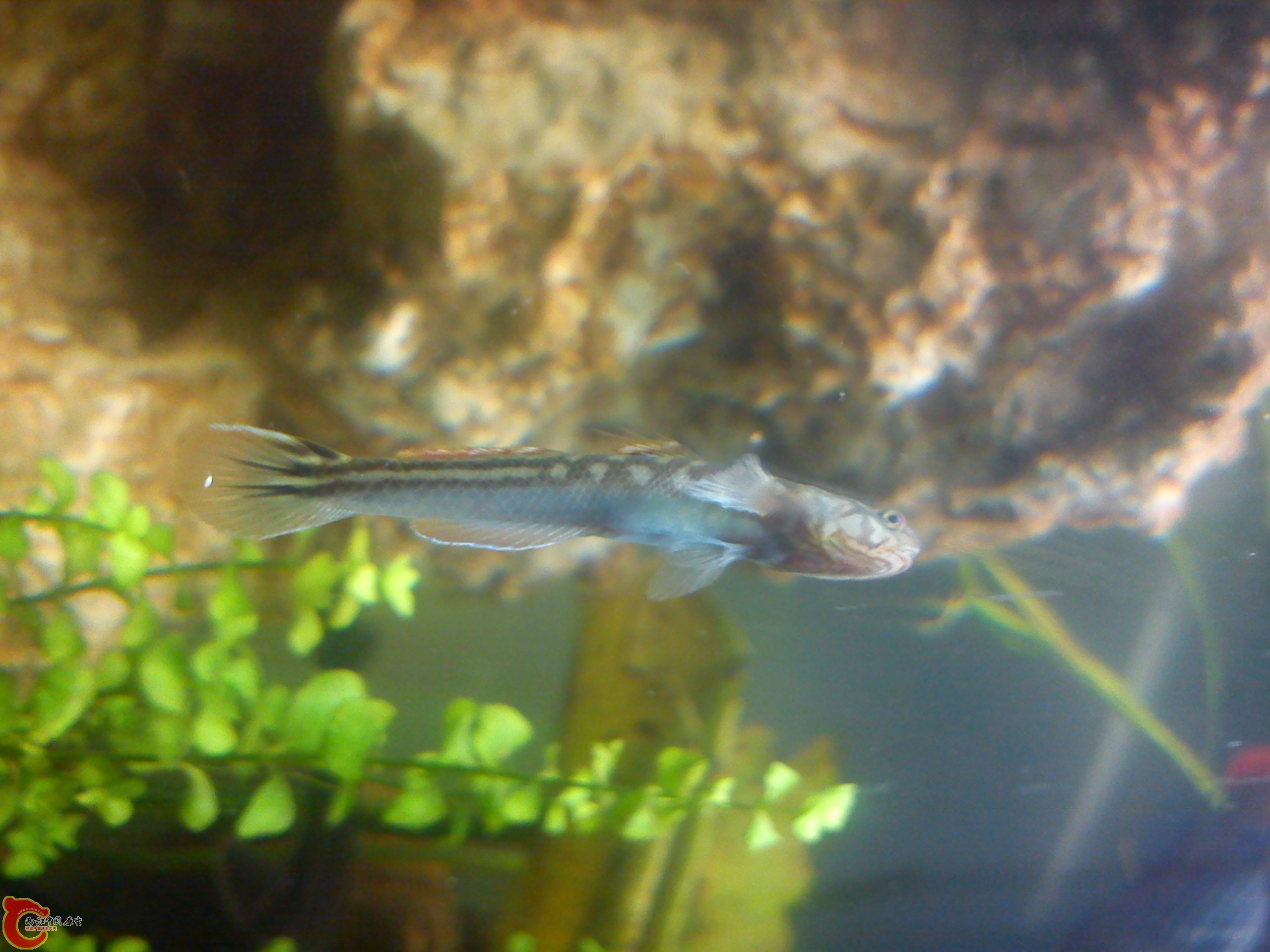 Camera_20120506_003506.jpg