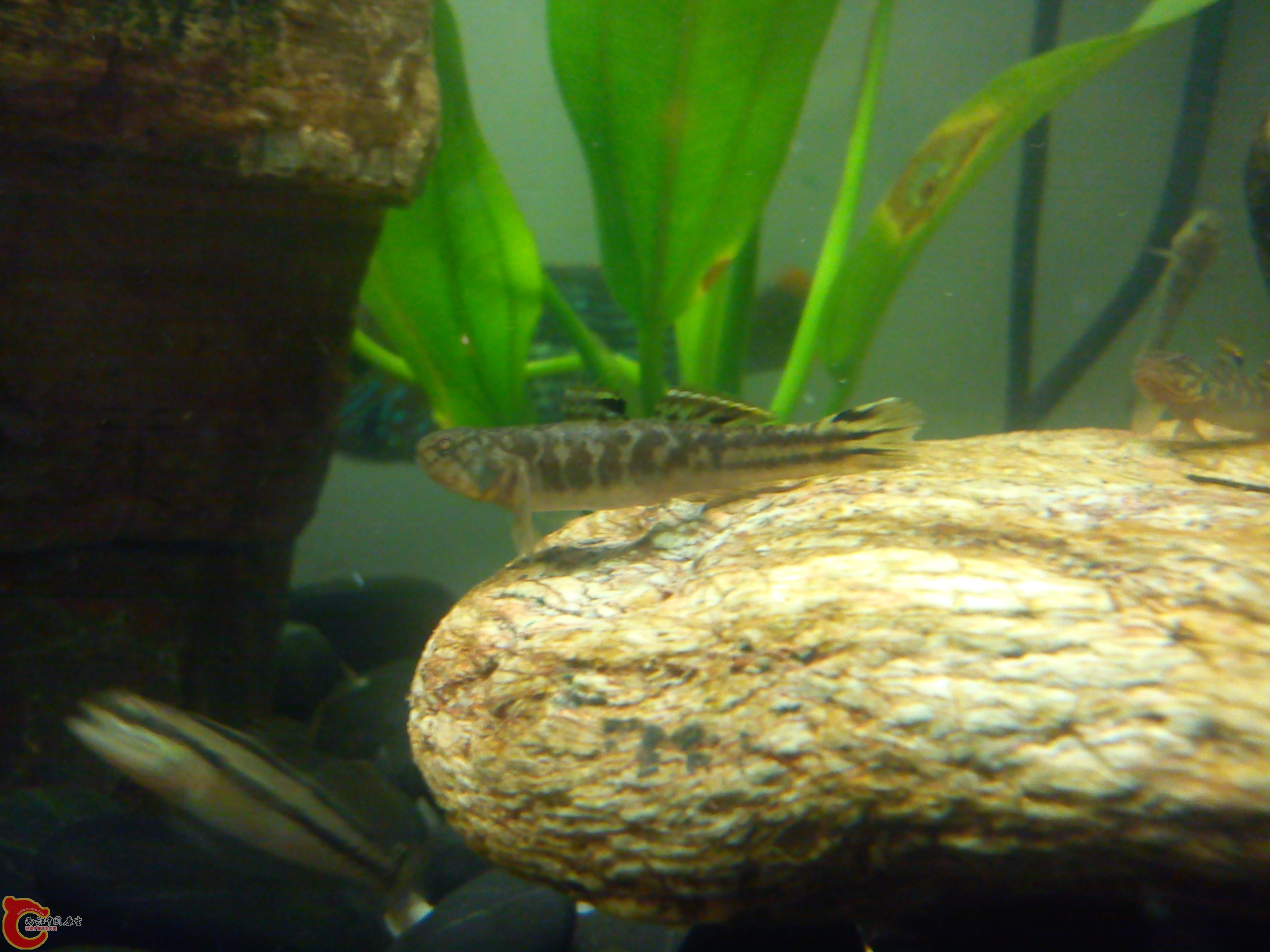 Camera_20120506_071323.jpg