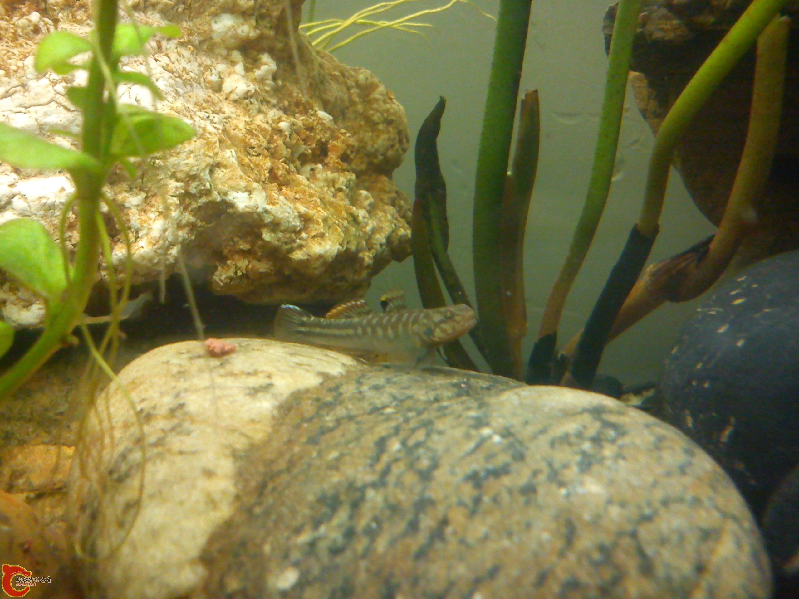 Camera_20120506_071620.jpg
