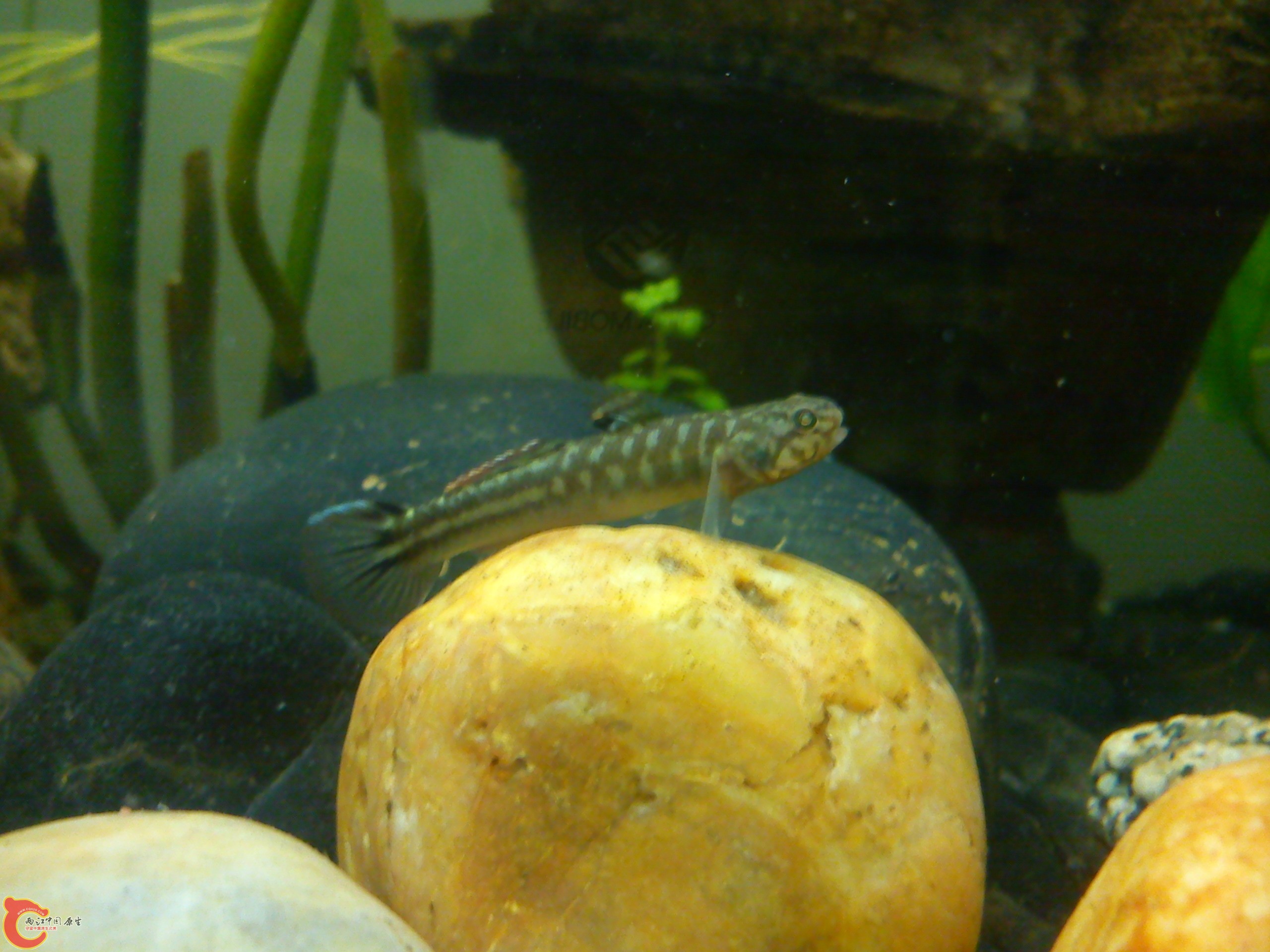 Camera_20120506_071844.jpg