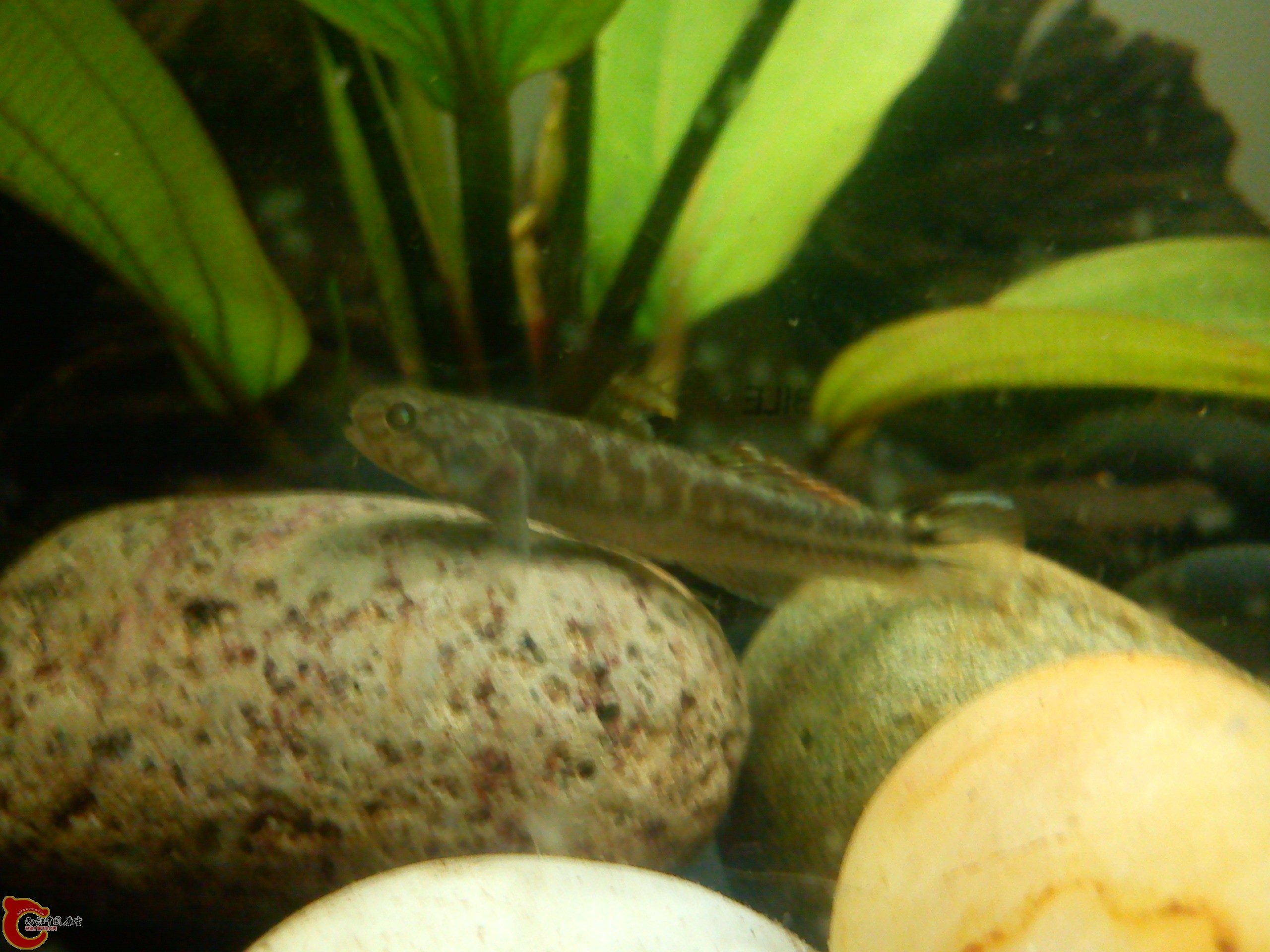 Camera_20120506_072350.jpg