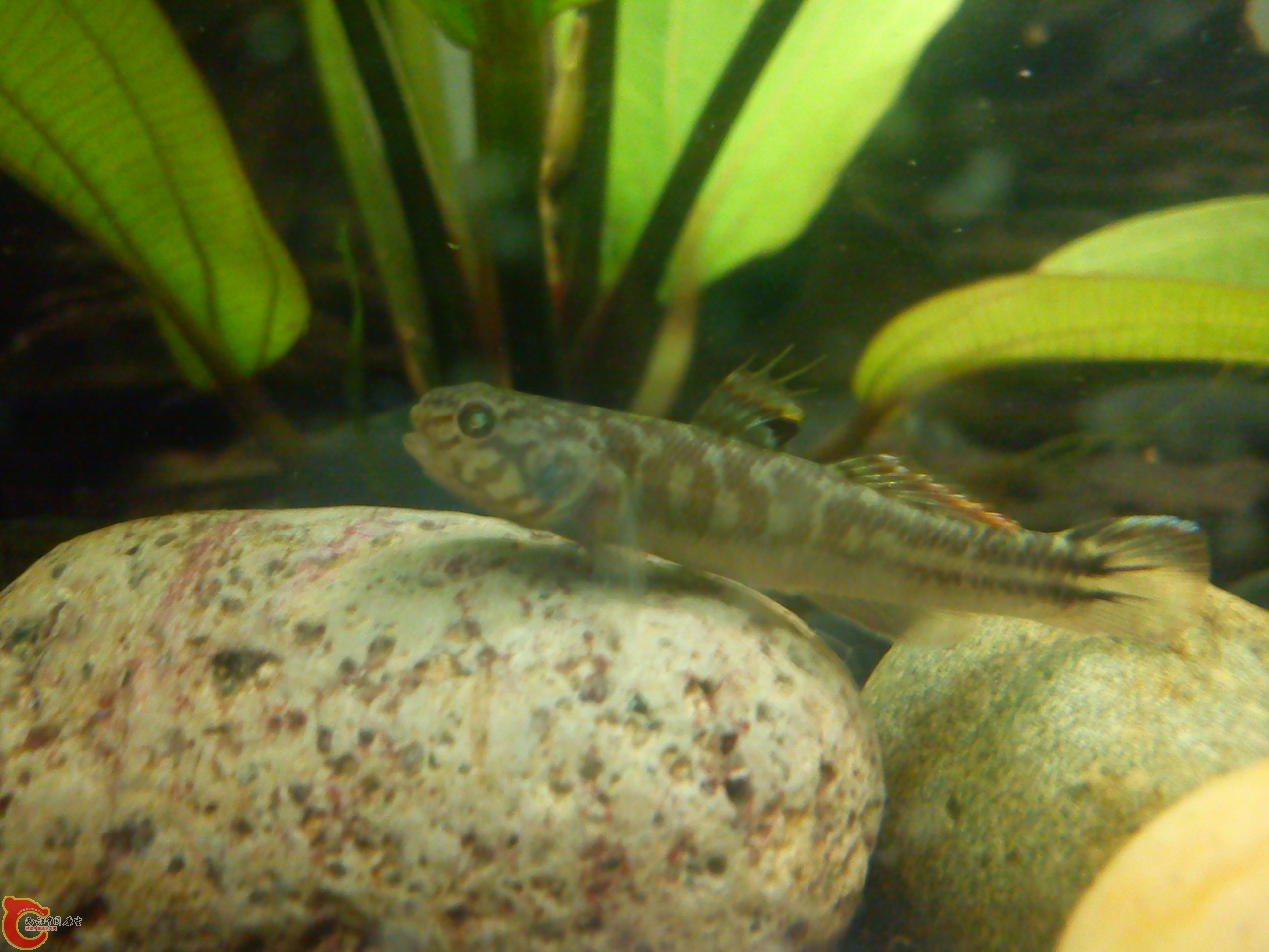 Camera_20120506_072359.jpg