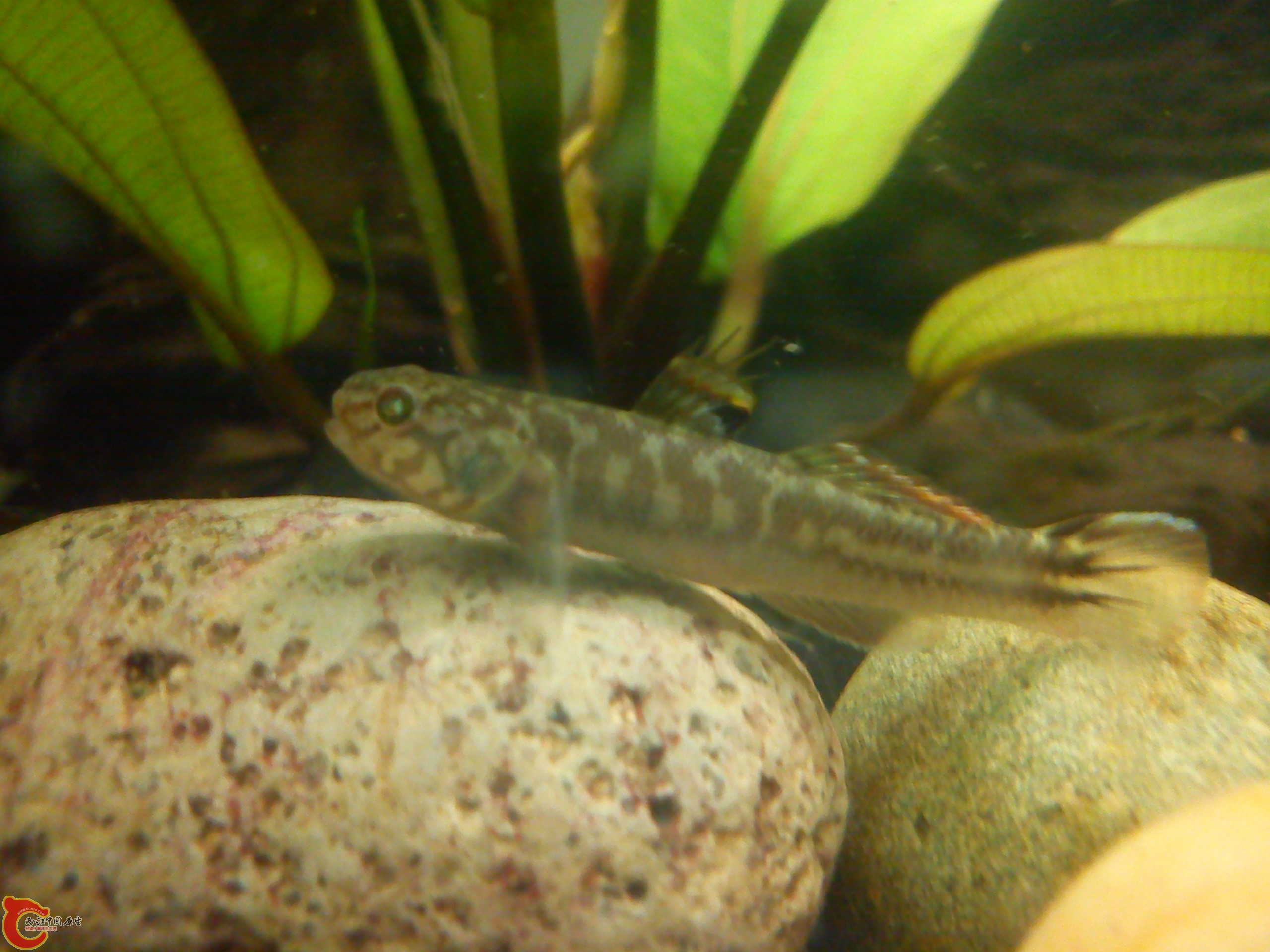 Camera_20120506_072410.jpg