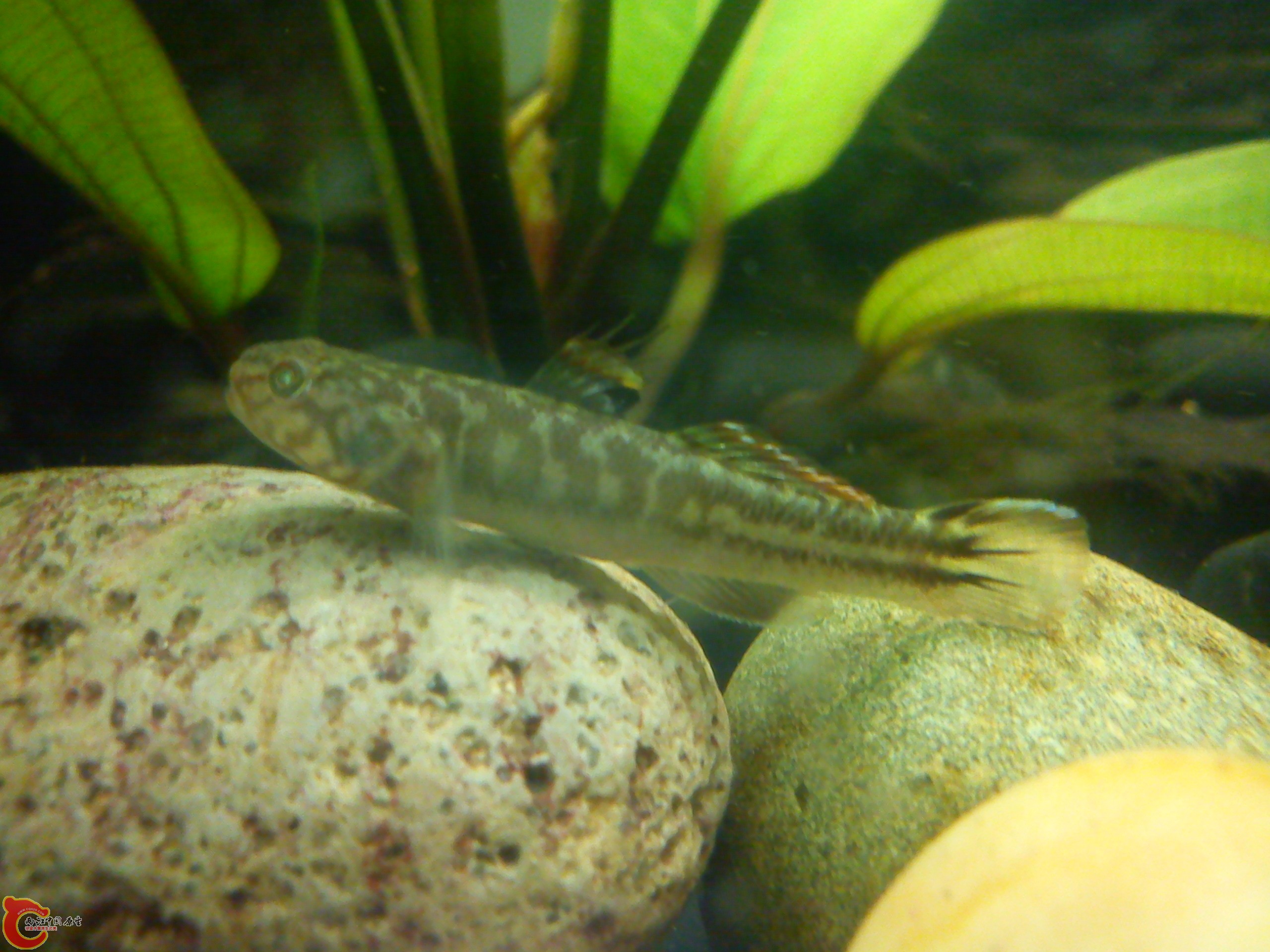 Camera_20120506_072445.jpg