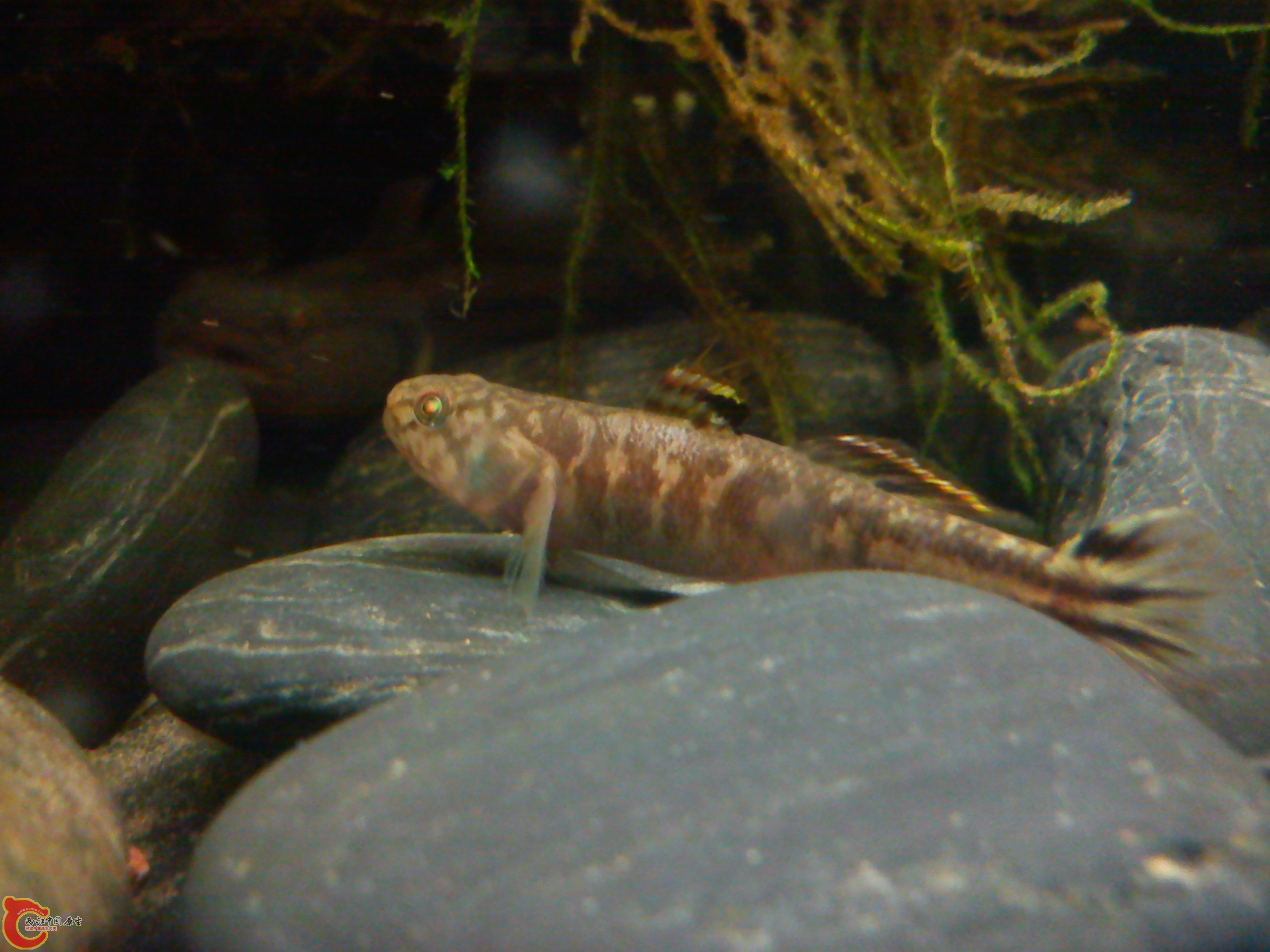 Camera_20120506_073423.jpg