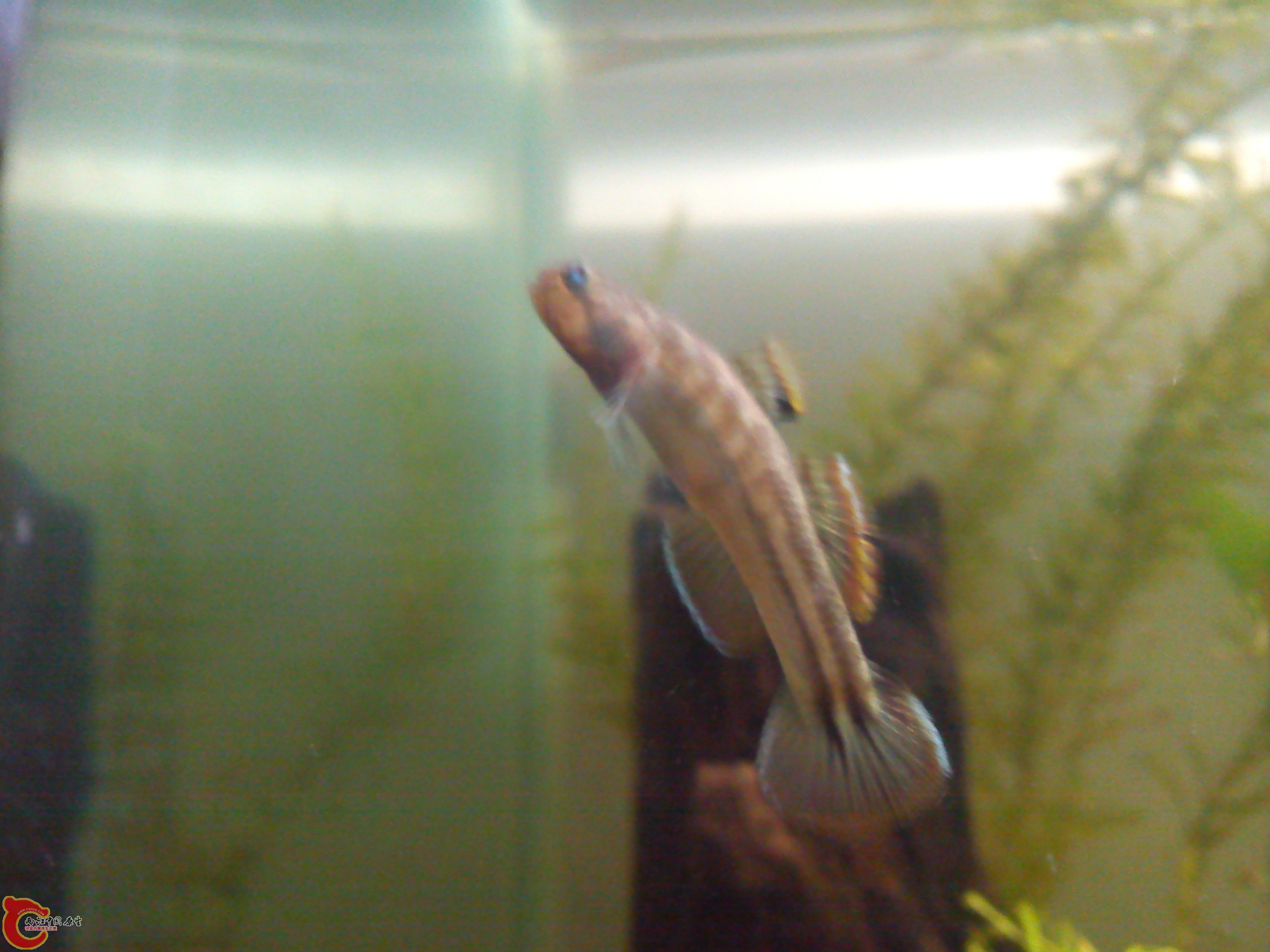 Camera_20120506_000459.jpg