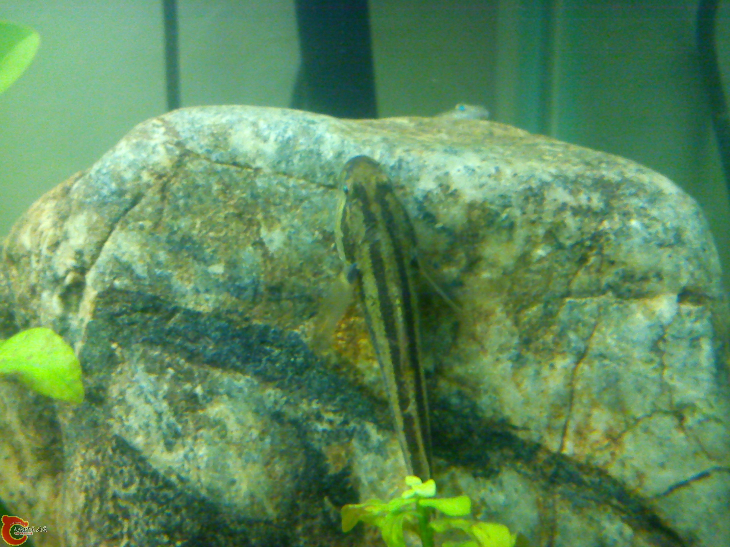 Camera_20120506_000211.jpg