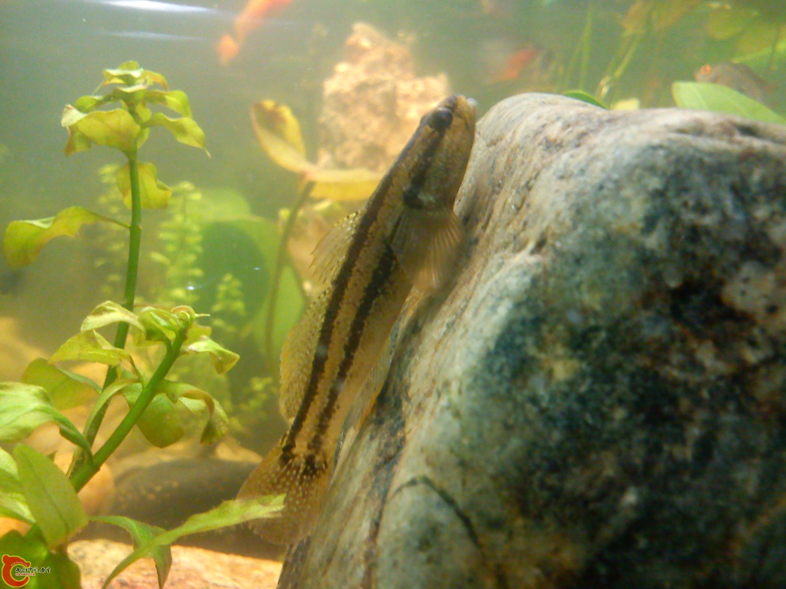 Camera_20120506_000246.jpg