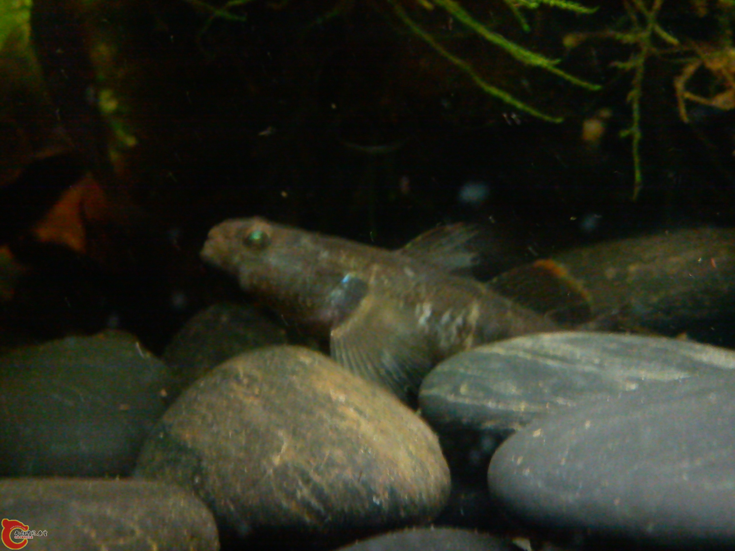 Camera_20120506_000536.jpg