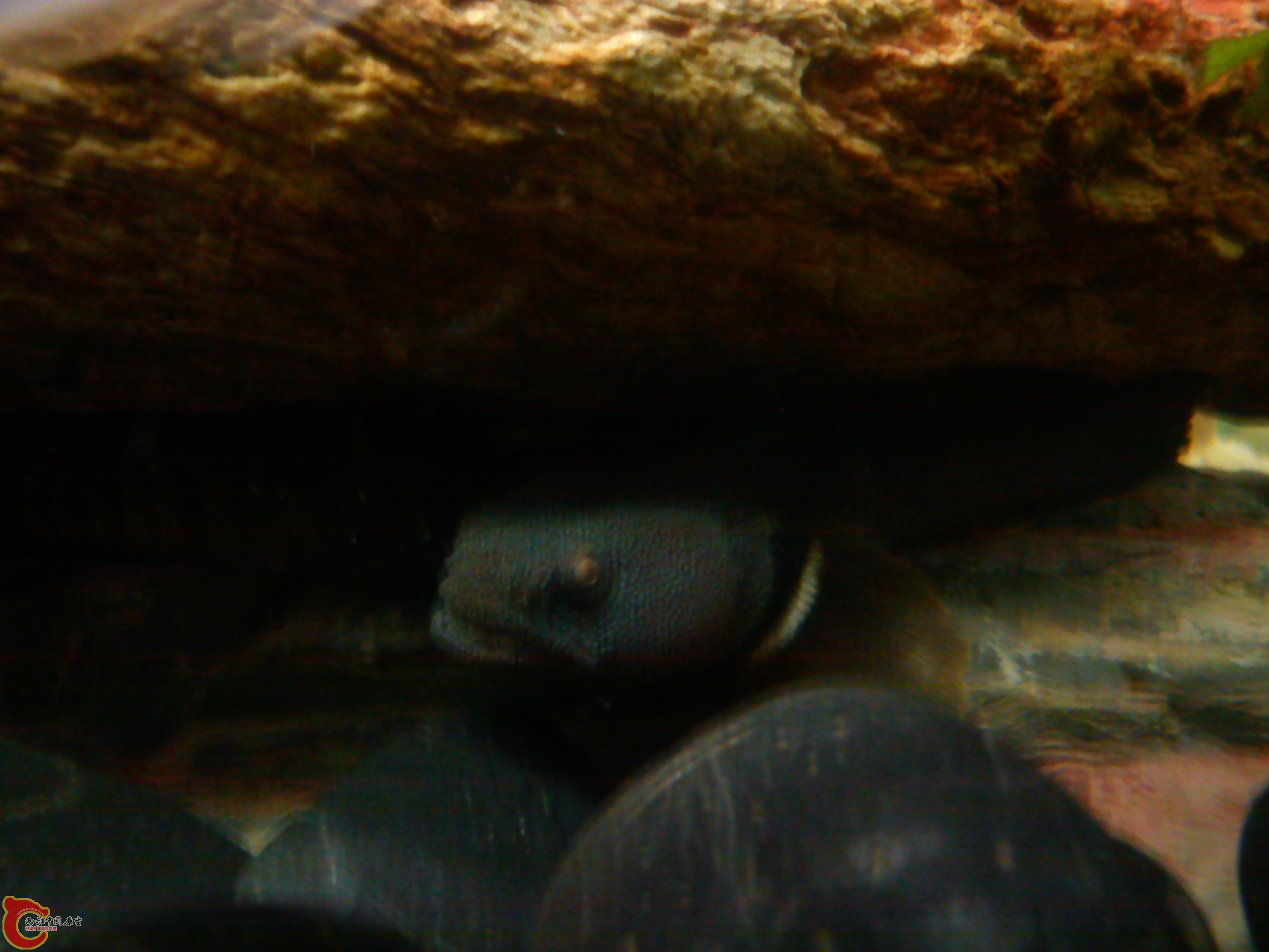 Camera_20120506_000724.jpg