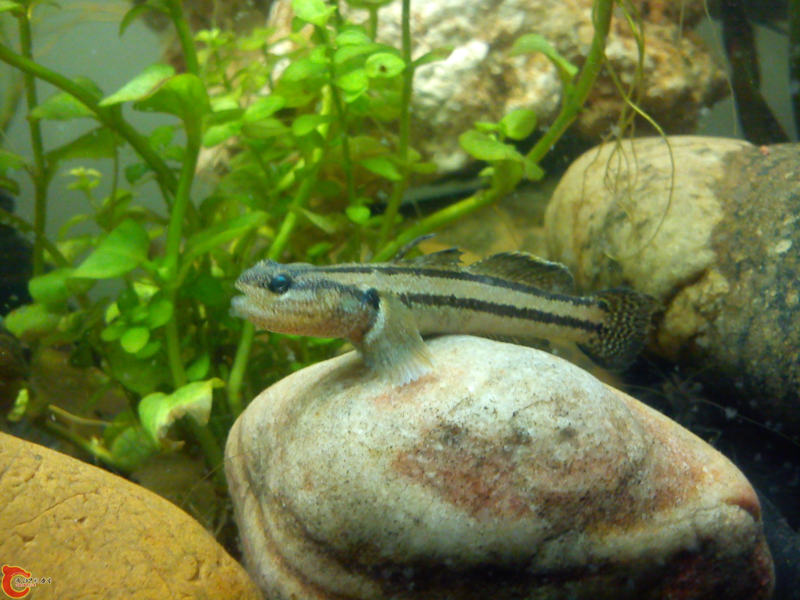 Camera_20120506_072615.jpg