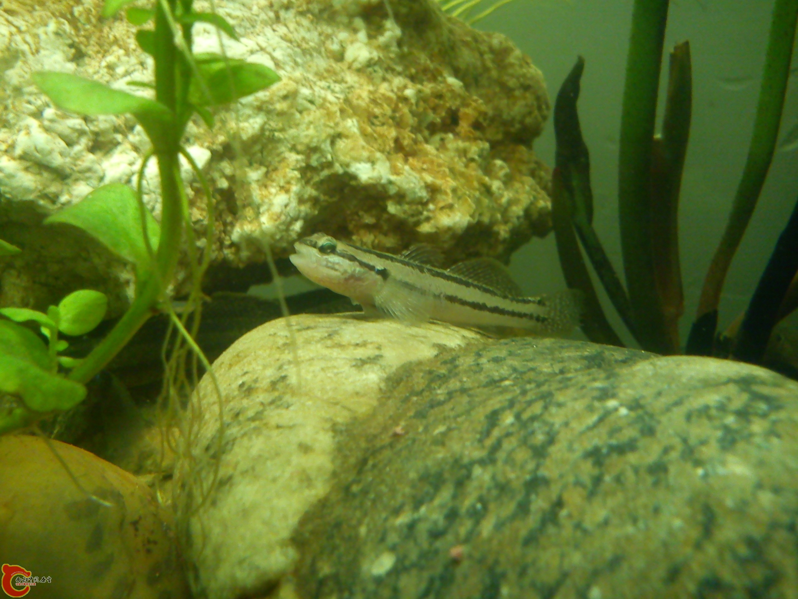 Camera_20120506_072925.jpg