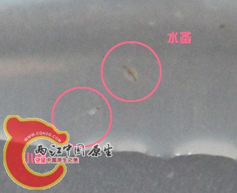 IMG_46861_副本.jpg