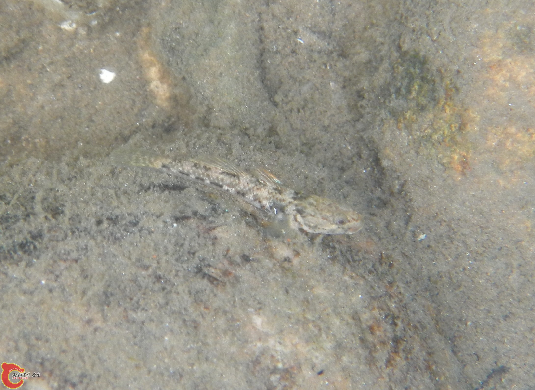 DSCN1194.JPG