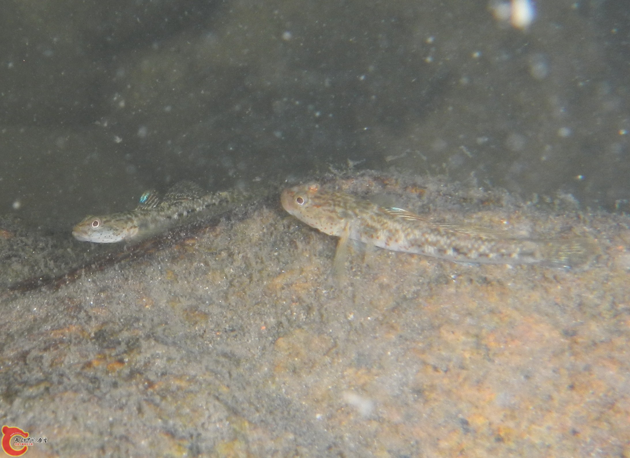 DSCN1209.JPG