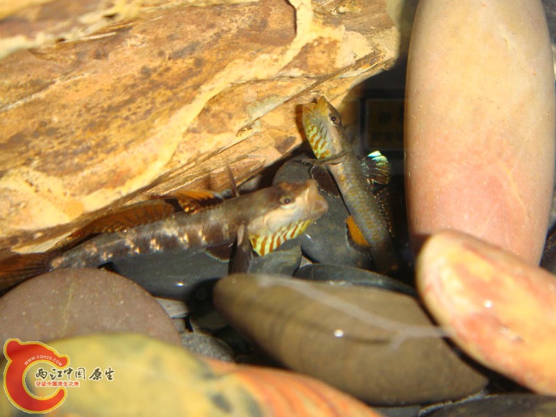 DSC02890.JPG