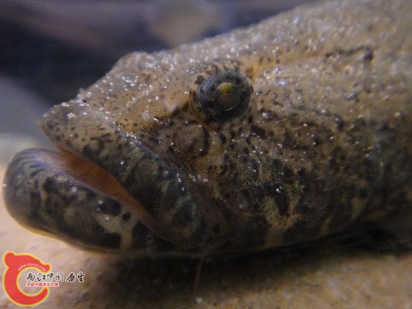 DSC01145.JPG