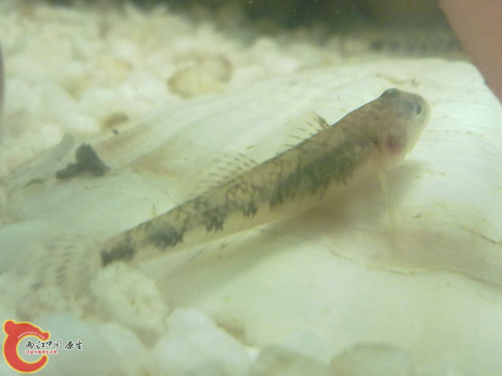 20120427-883.jpg