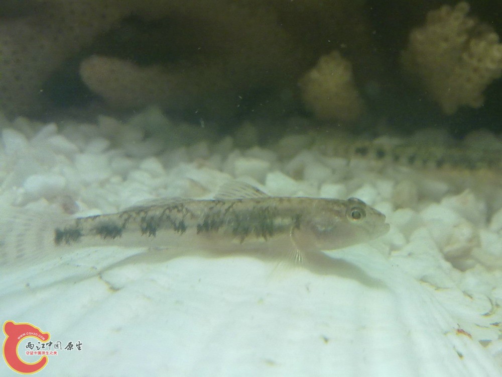20120427-884.jpg
