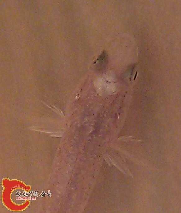 IMAG0218.jpg