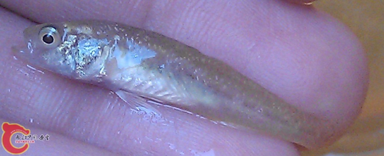 IMAG0221.jpg