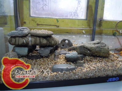 DSCN0951.jpg