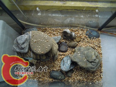 DSCN0952.jpg