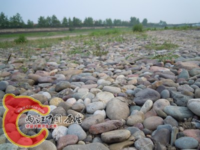 DSCN0965.jpg