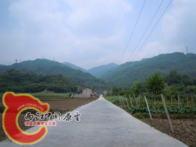 DSCN0996.jpg