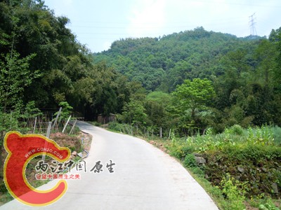 DSCN0997.jpg