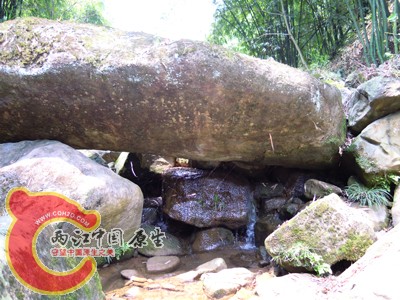 DSCN0999.jpg
