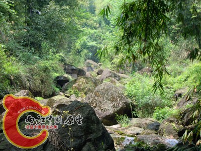 DSCN1000.jpg
