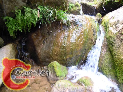 DSCN1004.jpg