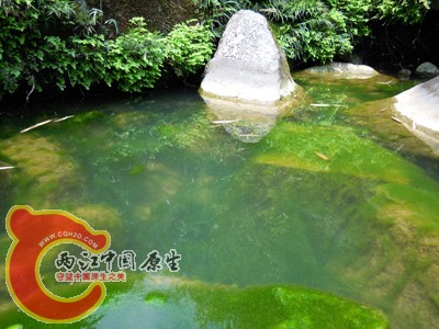 DSCN1005.jpg