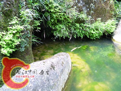 DSCN1006.jpg