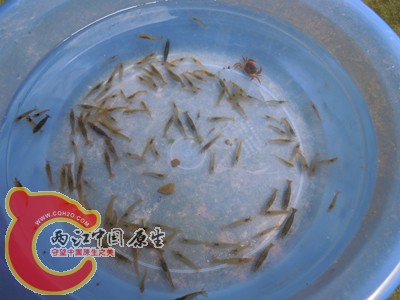 DSCN1008.jpg