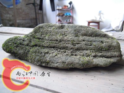 DSCN1023.jpg